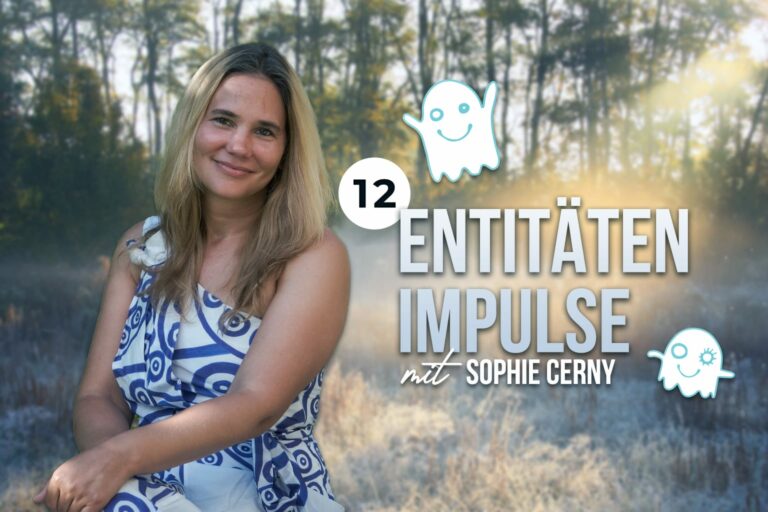 Entitäten Impulse Sophie Cerny