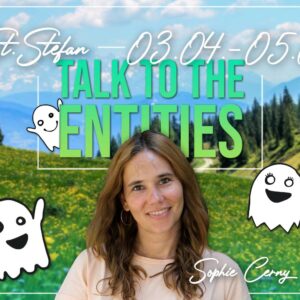 Talk to the Entities Sophie Cerny